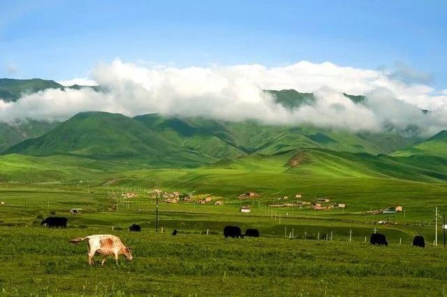 【精彩甘南】兰州出发---拉卜楞寺、桑科草原、郎木寺、扎尕那、花湖、黄河第一湾纯玩4日游