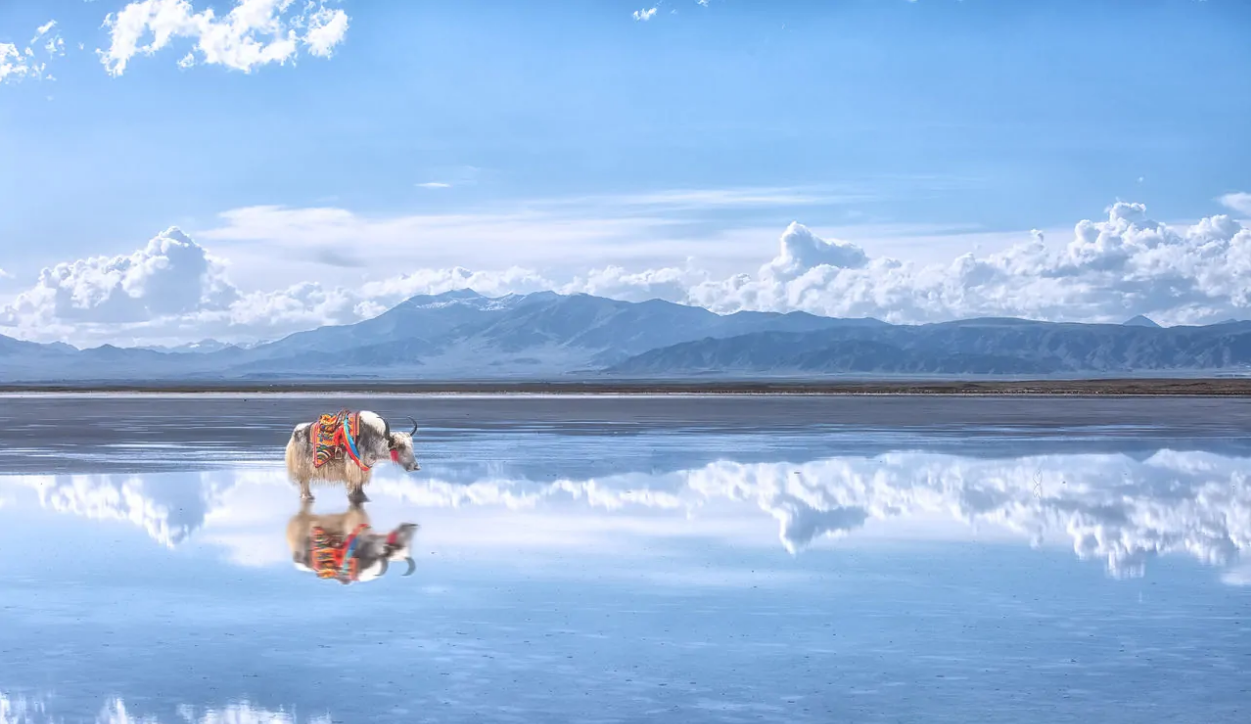 兰州/西宁起止+张掖七彩丹霞+嘉峪关城楼+鸣沙山月